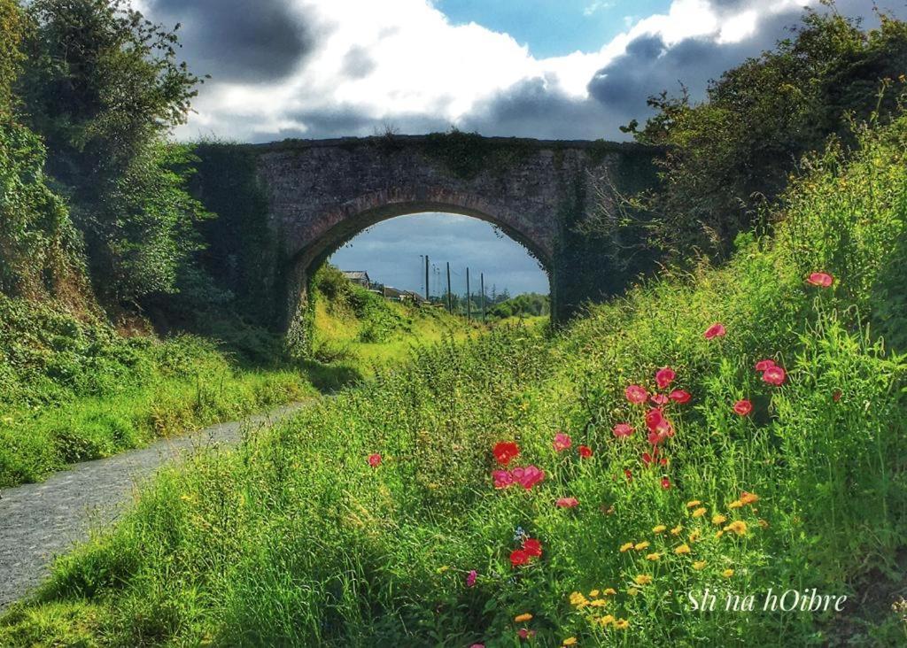 Headfort Arms Hotel Kells  Bagian luar foto